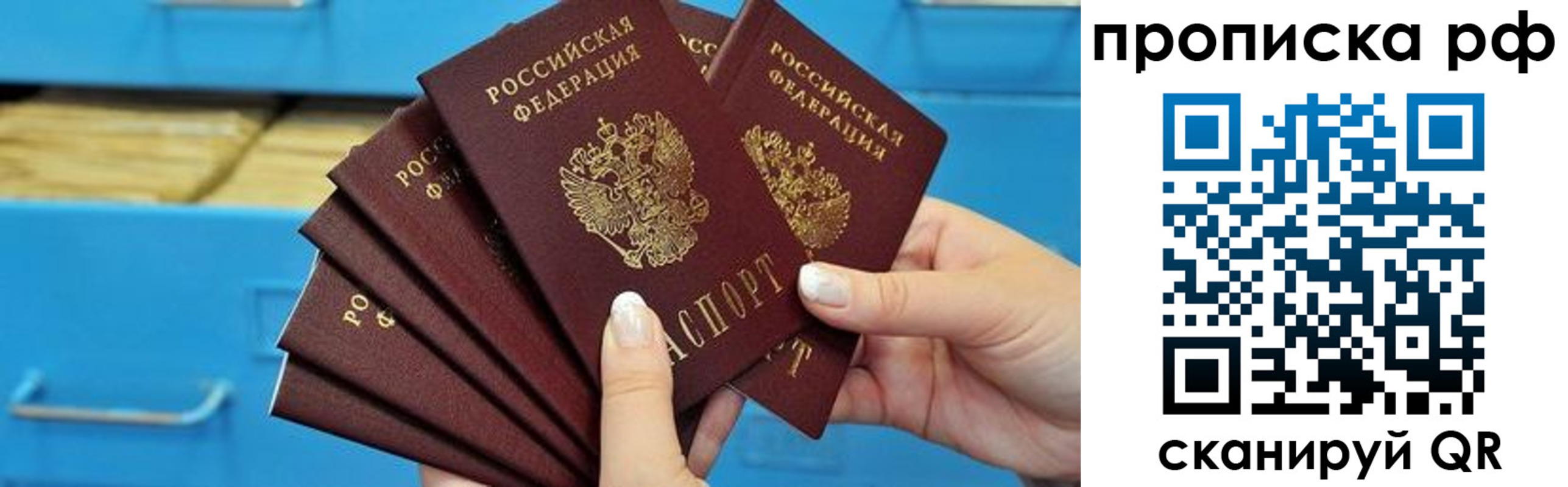 прописка поиск в Киришах